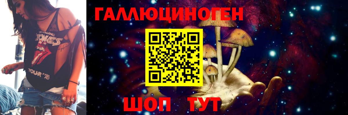 Галлюциногенные грибы Psilocybe Жуковский